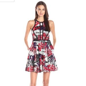 NWT Parker Hudson dress